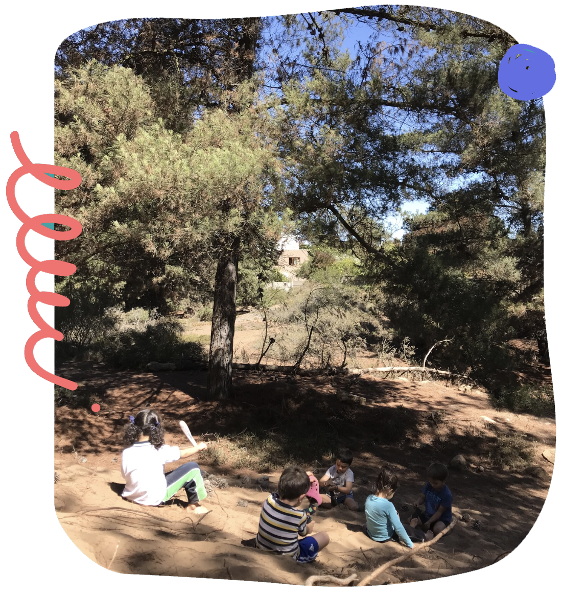 bosque